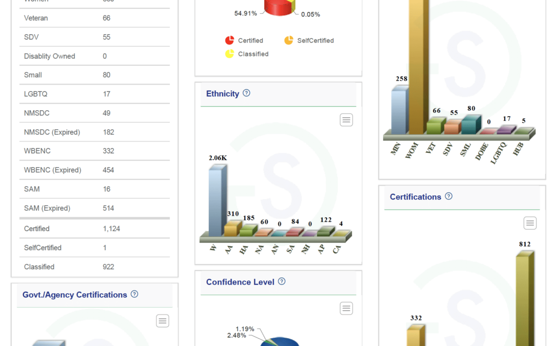 Diversity Data Enrichment for your Supplier Diversity Program