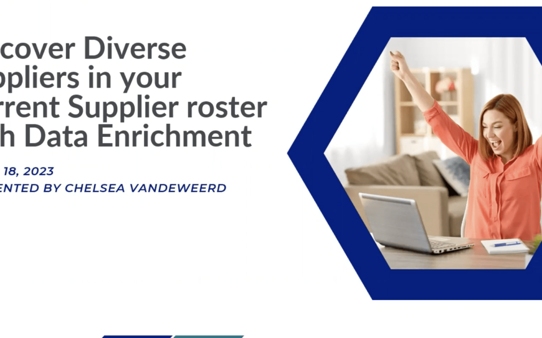 Supplier Diversity Data Enrichment Tutorial